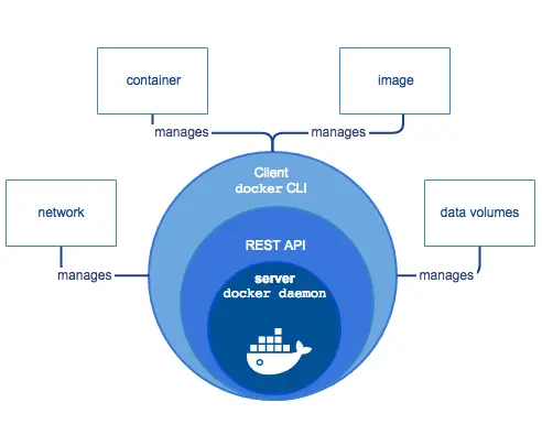 docker 组件